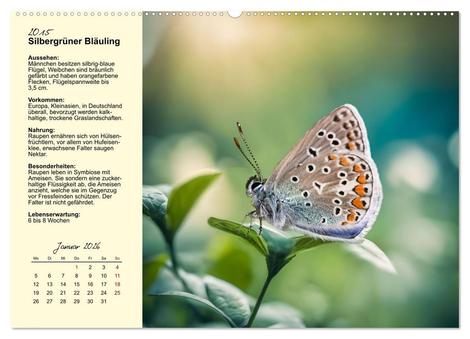 Insekt des Jahres (CALVENDO Wandkalender 2026)