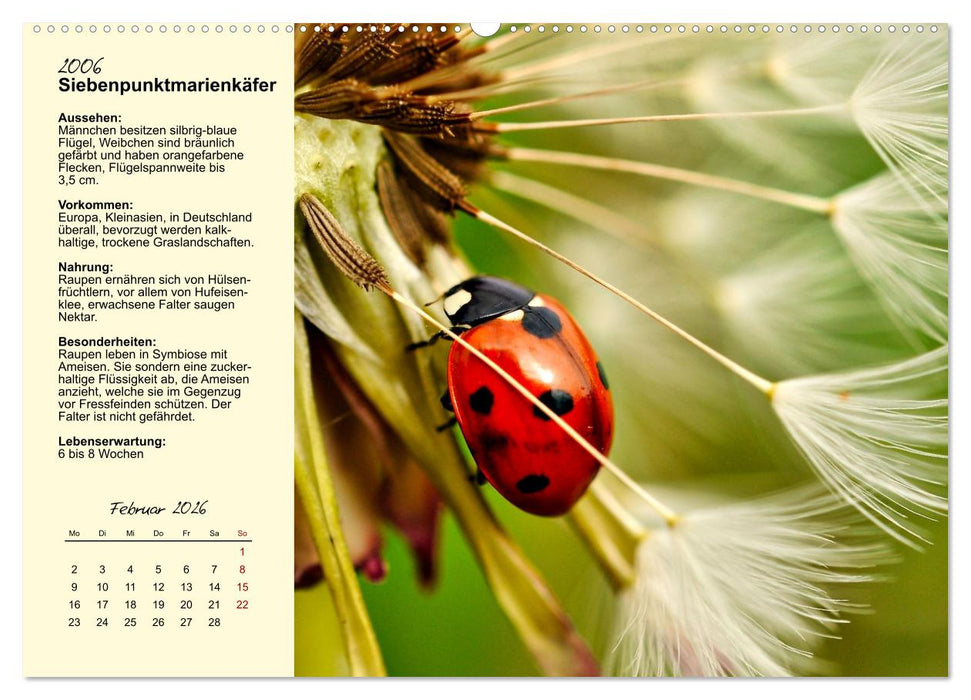 Insekt des Jahres (CALVENDO Wandkalender 2026)