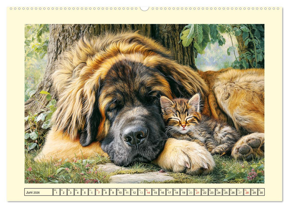 Der Leonberger. Majestätische Löwenhunde im Licht der Natur (CALVENDO Premium Wandkalender 2026)