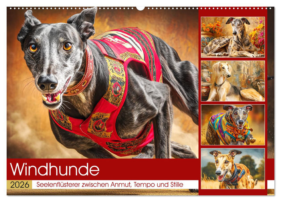 Windhunde. Seelenflüsterer zwischen Anmut, Tempo und Stille (CALVENDO Wandkalender 2026)