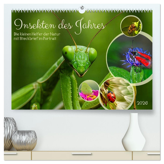 Insekt des Jahres (CALVENDO Premium Wandkalender 2026)