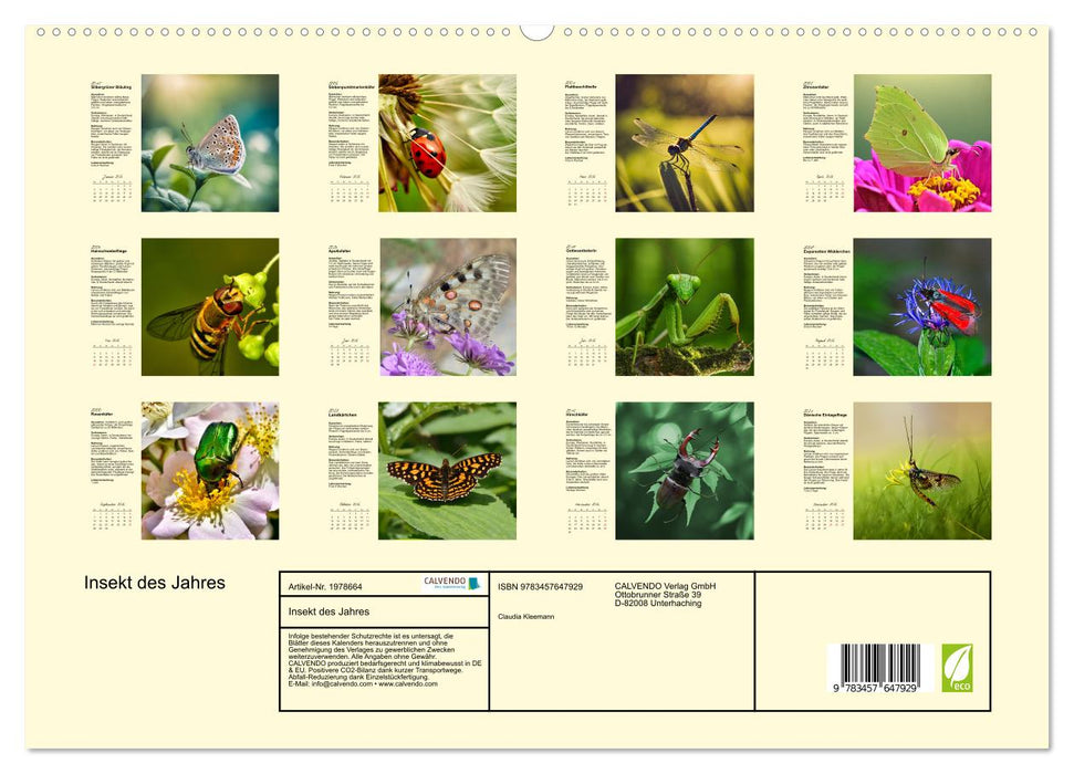 Insekt des Jahres (CALVENDO Premium Wandkalender 2026)