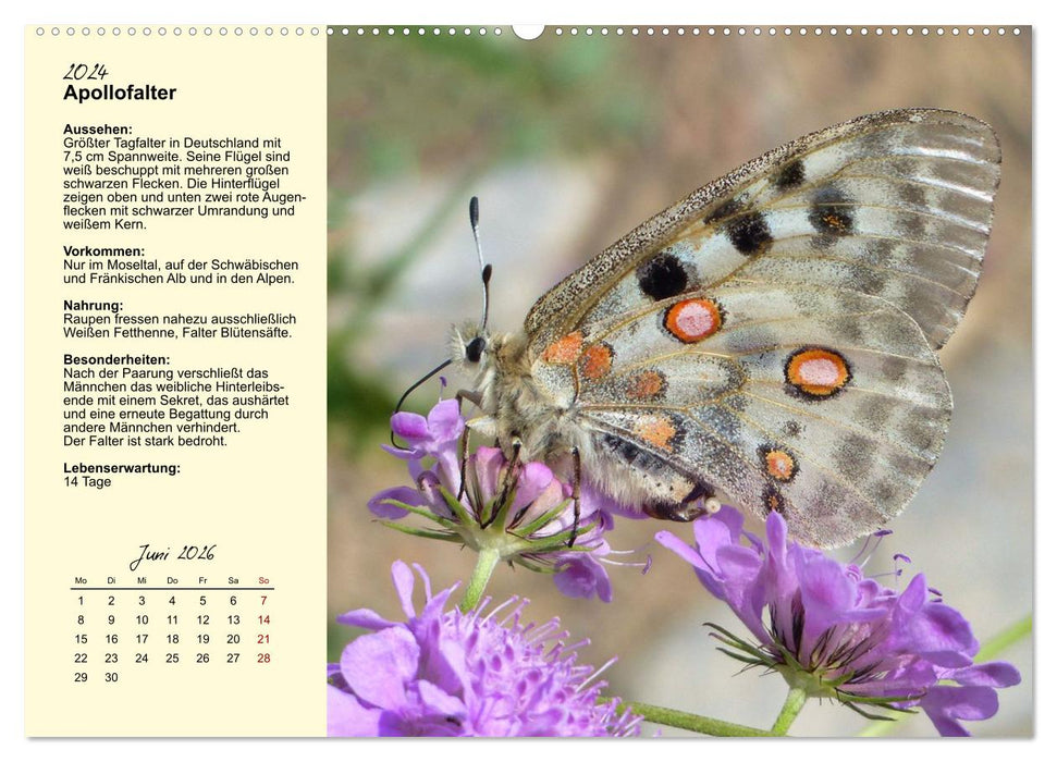 Insekt des Jahres (CALVENDO Premium Wandkalender 2026)