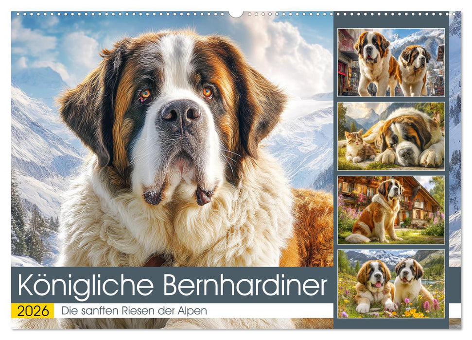 Königliche Bernhardiner. Die sanften Riesen der Alpen (CALVENDO Wandkalender 2026)