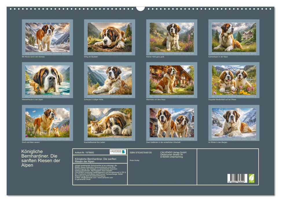 Königliche Bernhardiner. Die sanften Riesen der Alpen (CALVENDO Wandkalender 2026)