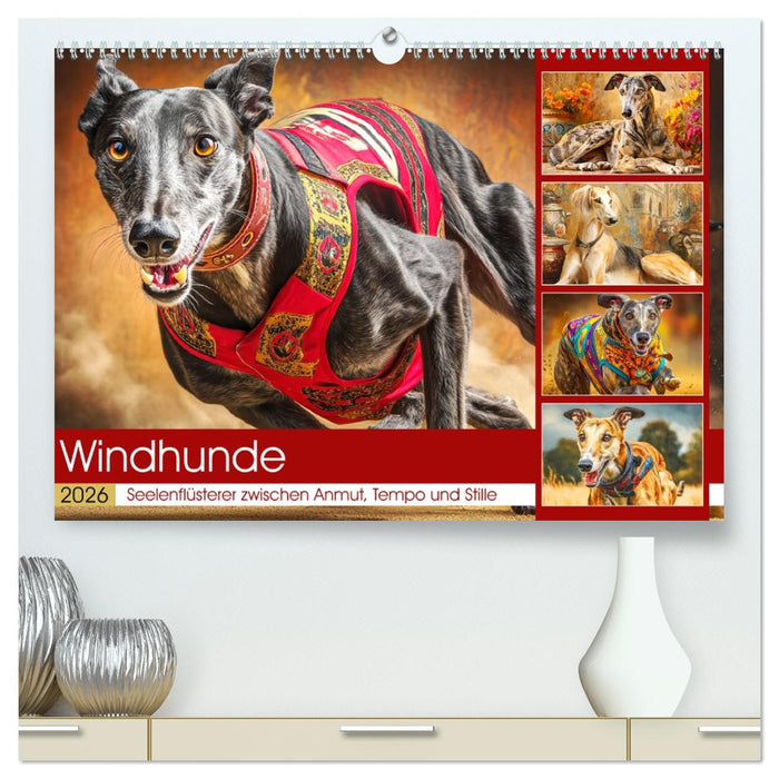 Windhunde. Seelenflüsterer zwischen Anmut, Tempo und Stille (CALVENDO Premium Wandkalender 2026)