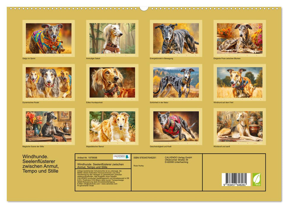 Windhunde. Seelenflüsterer zwischen Anmut, Tempo und Stille (CALVENDO Premium Wandkalender 2026)