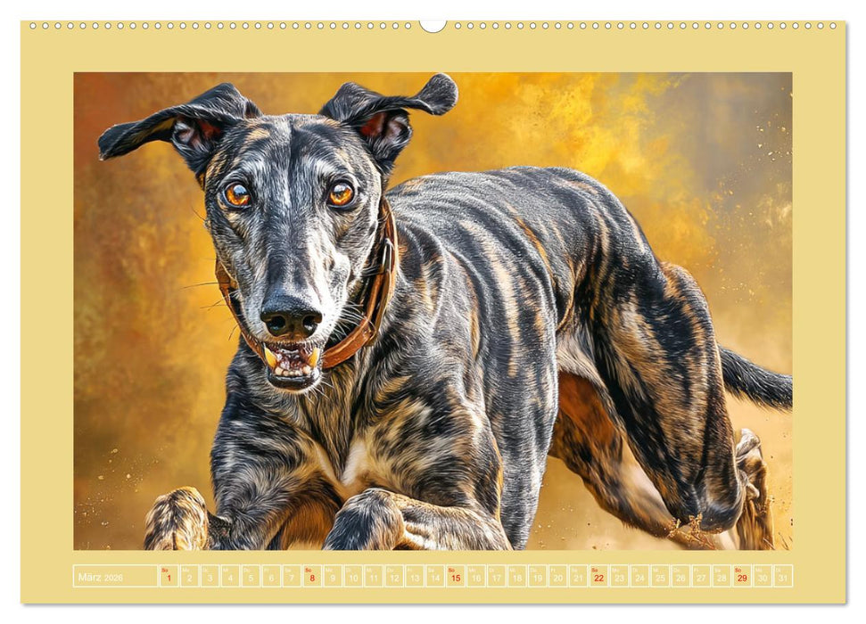 Windhunde. Seelenflüsterer zwischen Anmut, Tempo und Stille (CALVENDO Premium Wandkalender 2026)