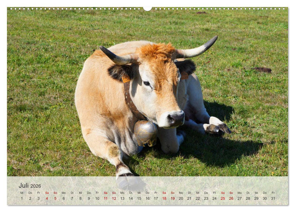 Vogesen - Das außergewöhnliche Naturerbe im Osten Frankreichs (CALVENDO Premium Wandkalender 2026)