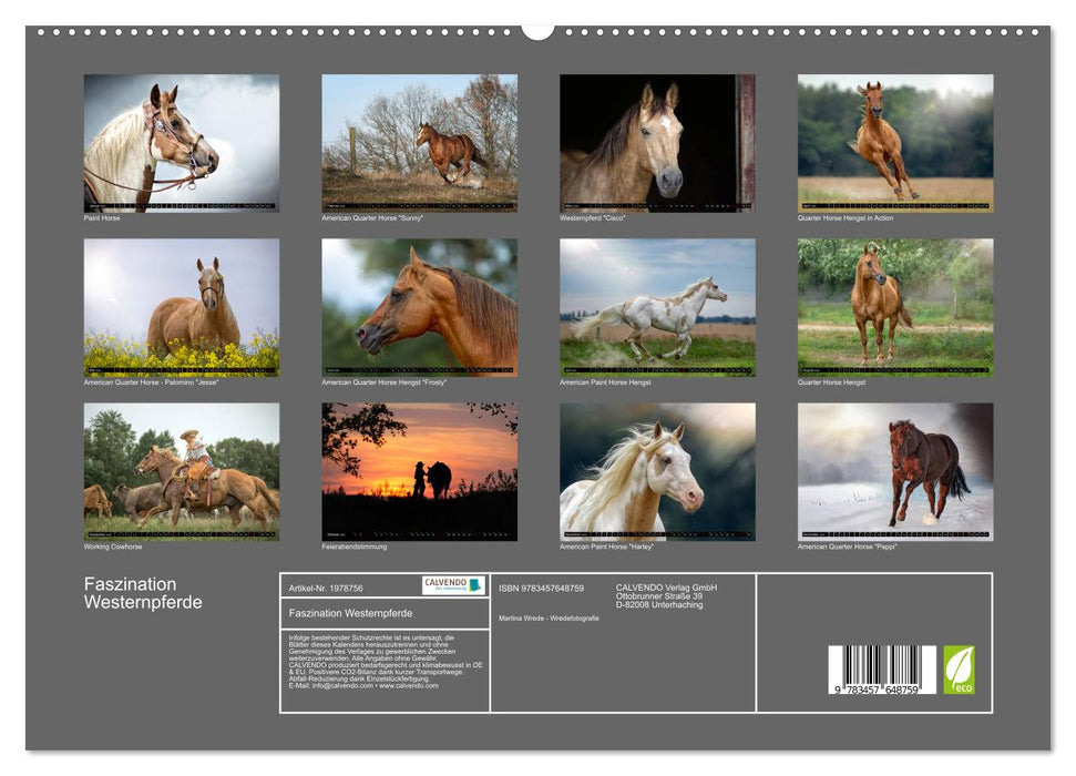 Faszination Westernpferde (CALVENDO Premium Wandkalender 2026)