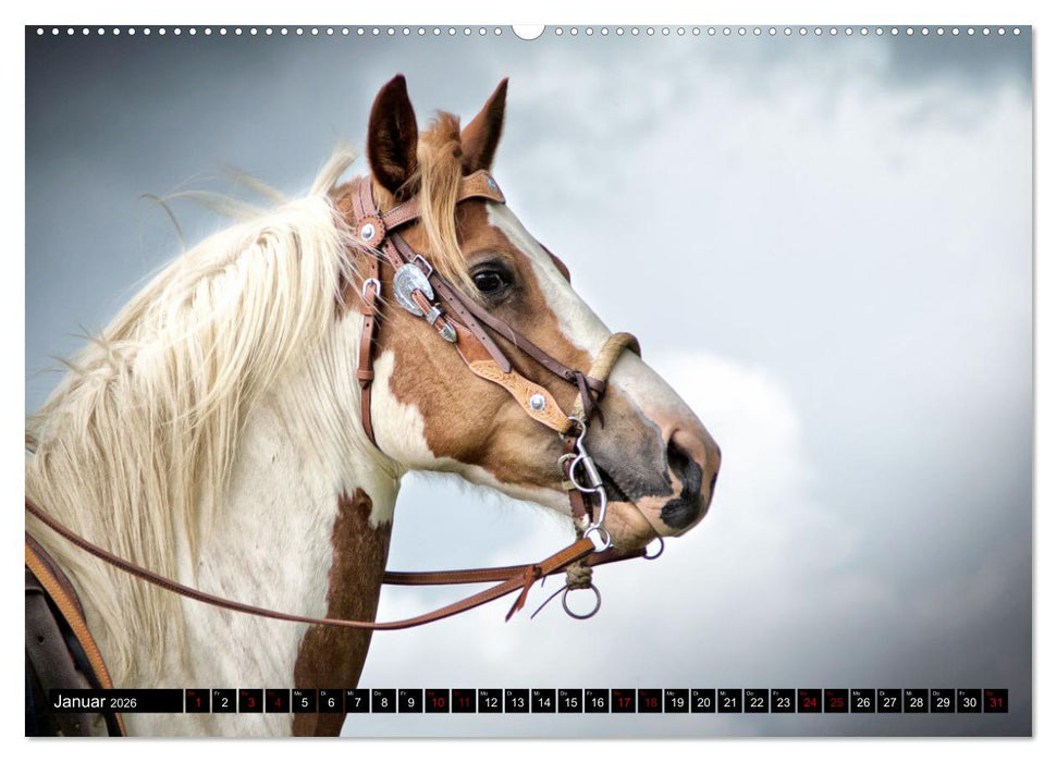 Faszination Westernpferde (CALVENDO Premium Wandkalender 2026)