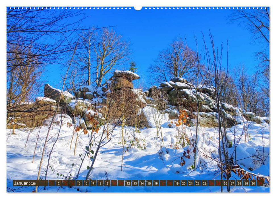 Kamenz - Kultur und Natur erleben und genießen (CALVENDO Premium Wandkalender 2026)