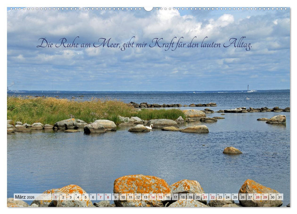 Meine kleine Auszeit (CALVENDO Premium Wandkalender 2026)