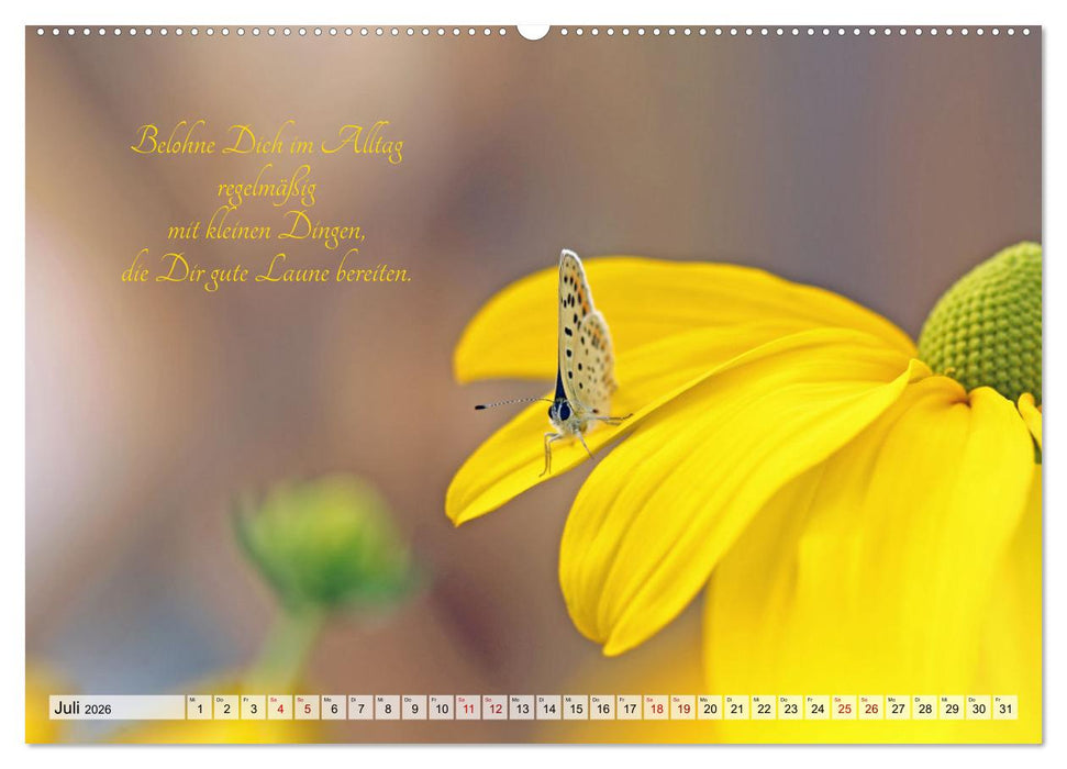 Meine kleine Auszeit (CALVENDO Premium Wandkalender 2026)