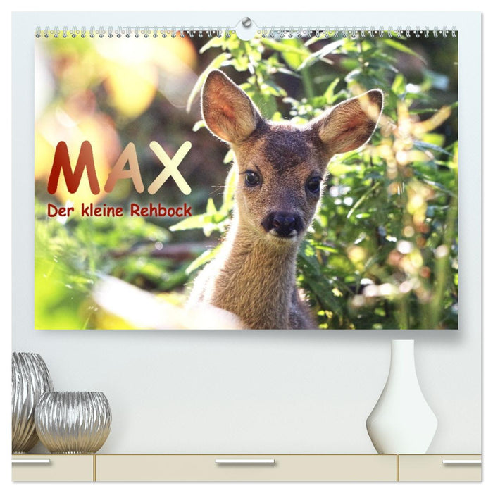 Max, der kleine Rehbock (CALVENDO Premium Wandkalender 2026)