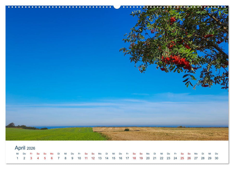 Ins Umland von Boltenhagen (CALVENDO Premium Wandkalender 2026)