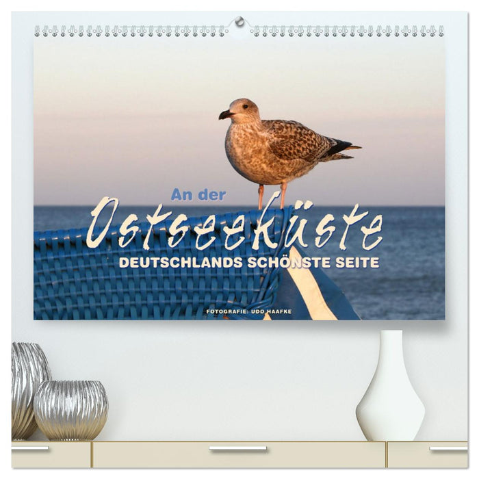 An der Ostseeküste - Deutschlands schönste Seite (CALVENDO Premium Wandkalender 2026)