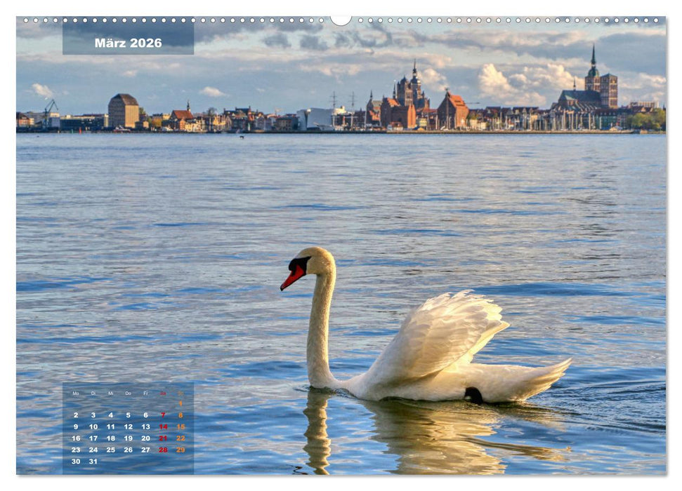 An der Ostseeküste - Deutschlands schönste Seite (CALVENDO Premium Wandkalender 2026)