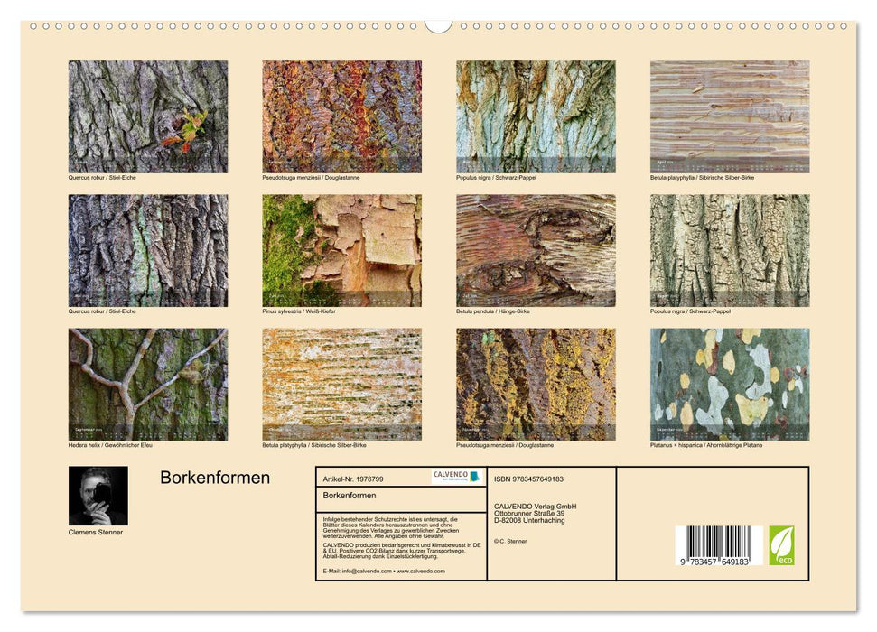 Borkenformen (CALVENDO Premium Wandkalender 2026)