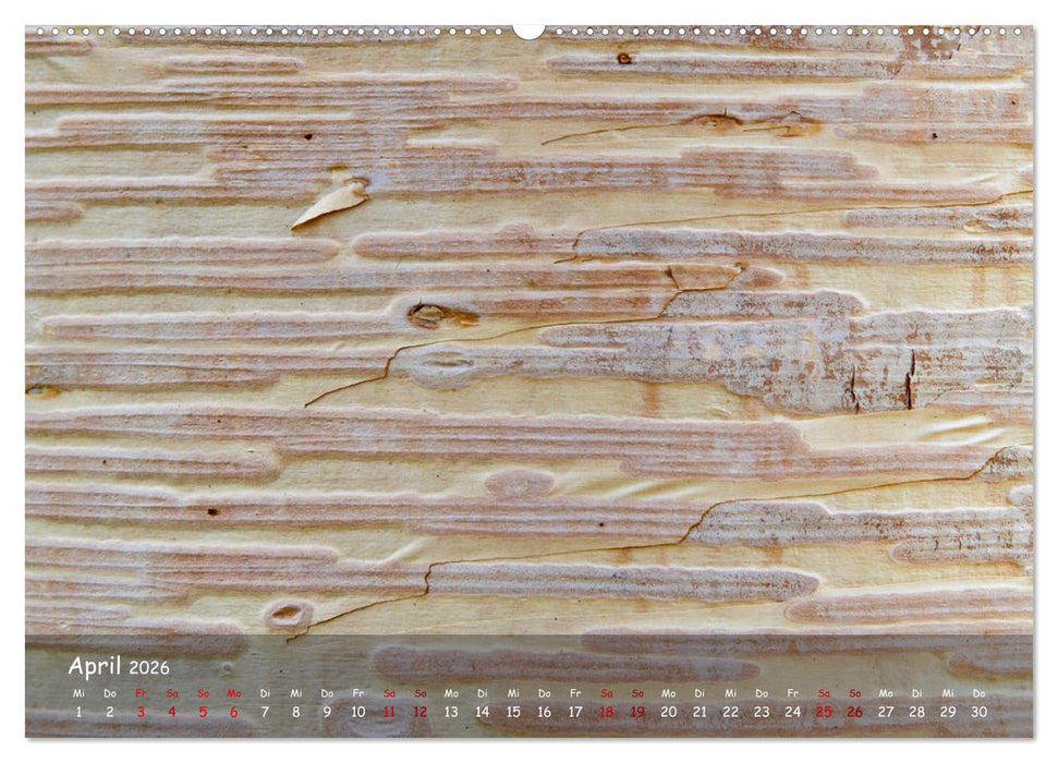 Borkenformen (CALVENDO Premium Wandkalender 2026)