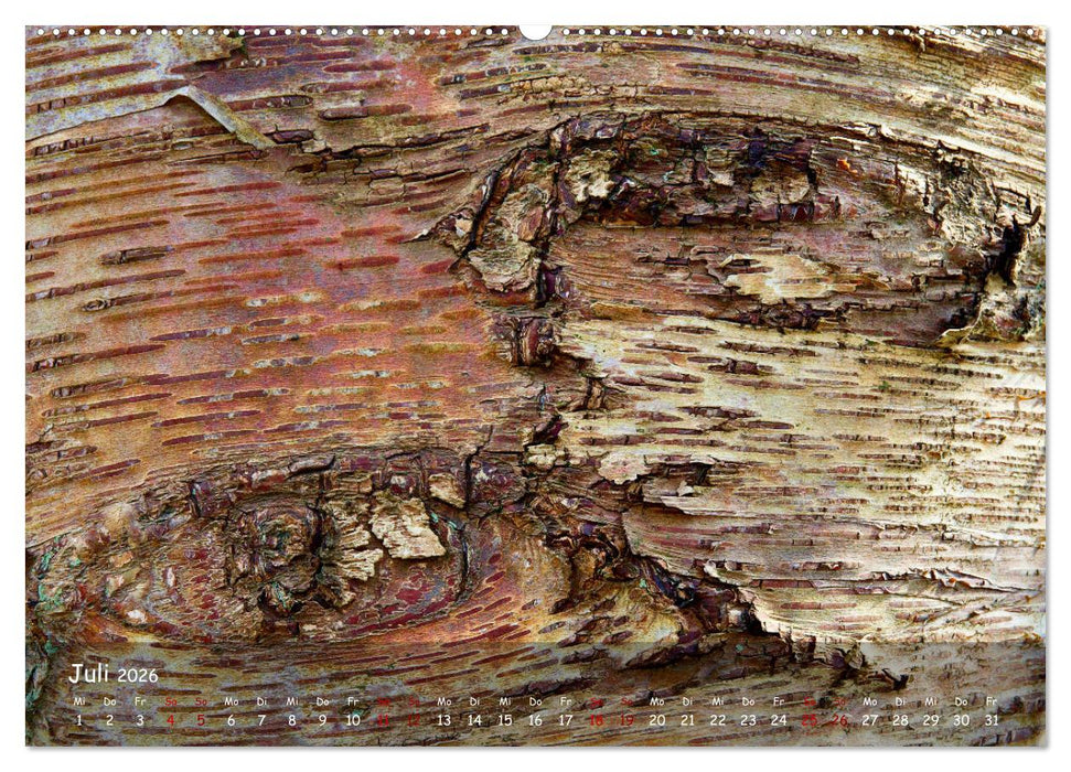 Borkenformen (CALVENDO Premium Wandkalender 2026)