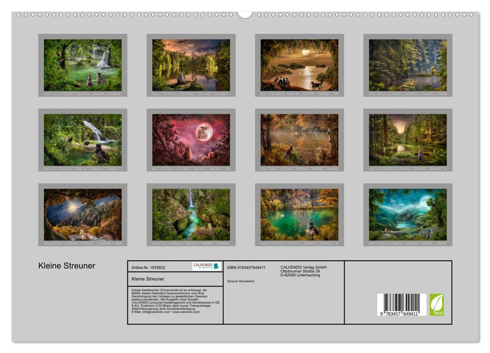Kleine Streuner (CALVENDO Premium Wandkalender 2026)