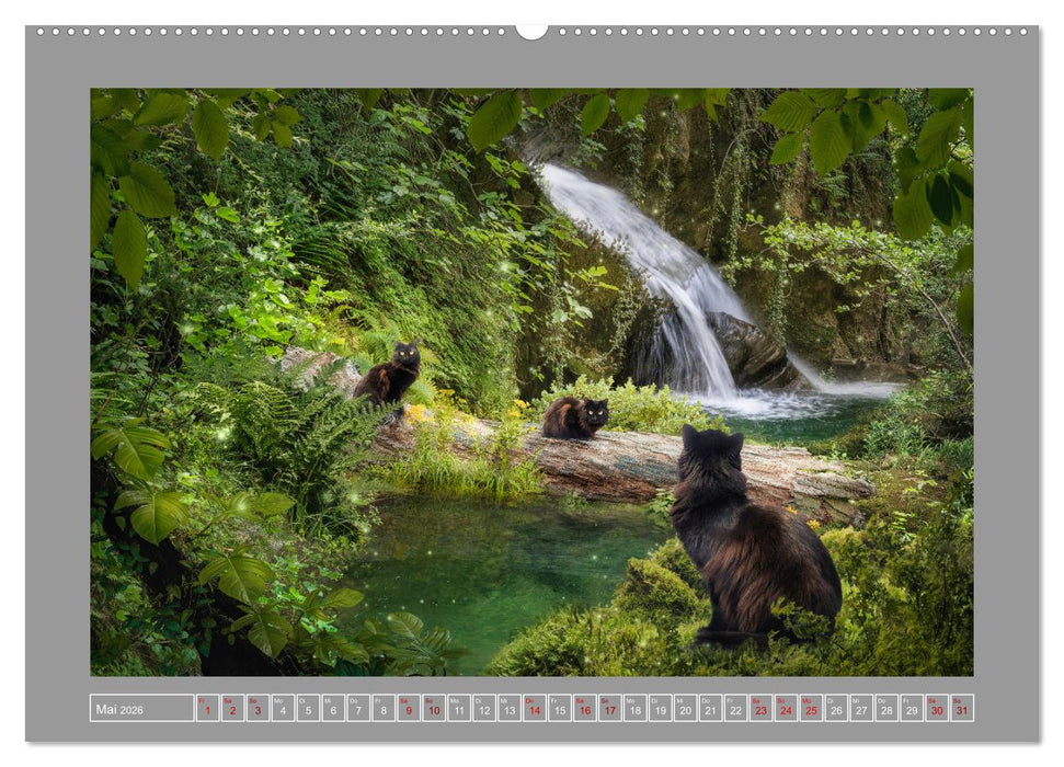 Kleine Streuner (CALVENDO Premium Wandkalender 2026)