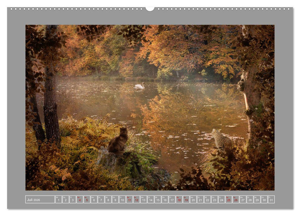 Kleine Streuner (CALVENDO Premium Wandkalender 2026)