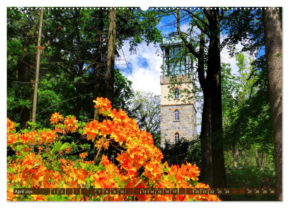 Kamenz - Kultur und Natur erleben und genießen (CALVENDO Wandkalender 2026)