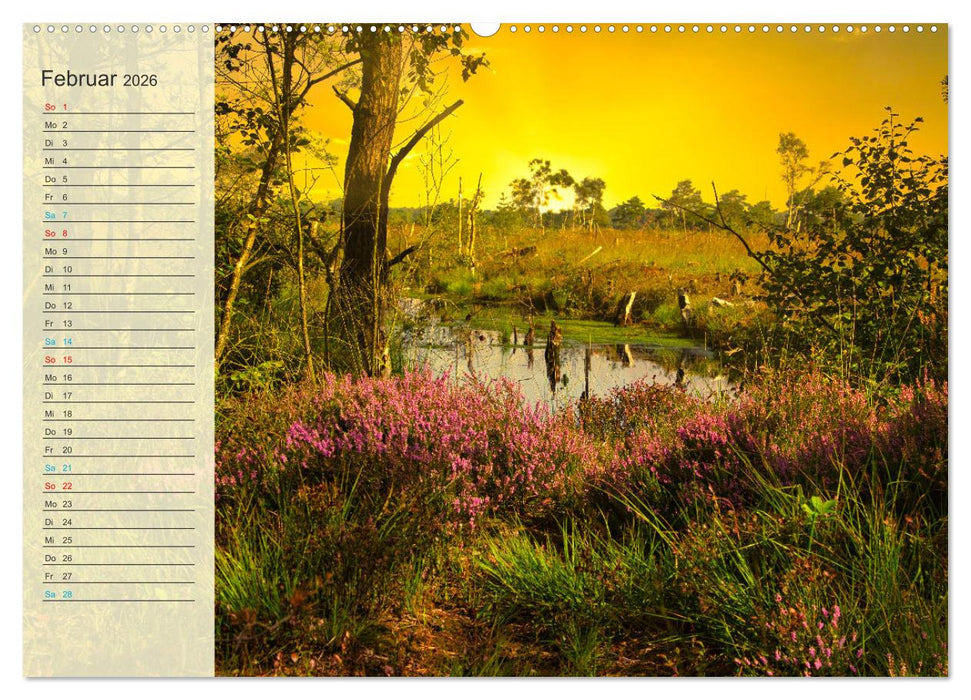 Die Heideblüte (CALVENDO Premium Wandkalender 2026)
