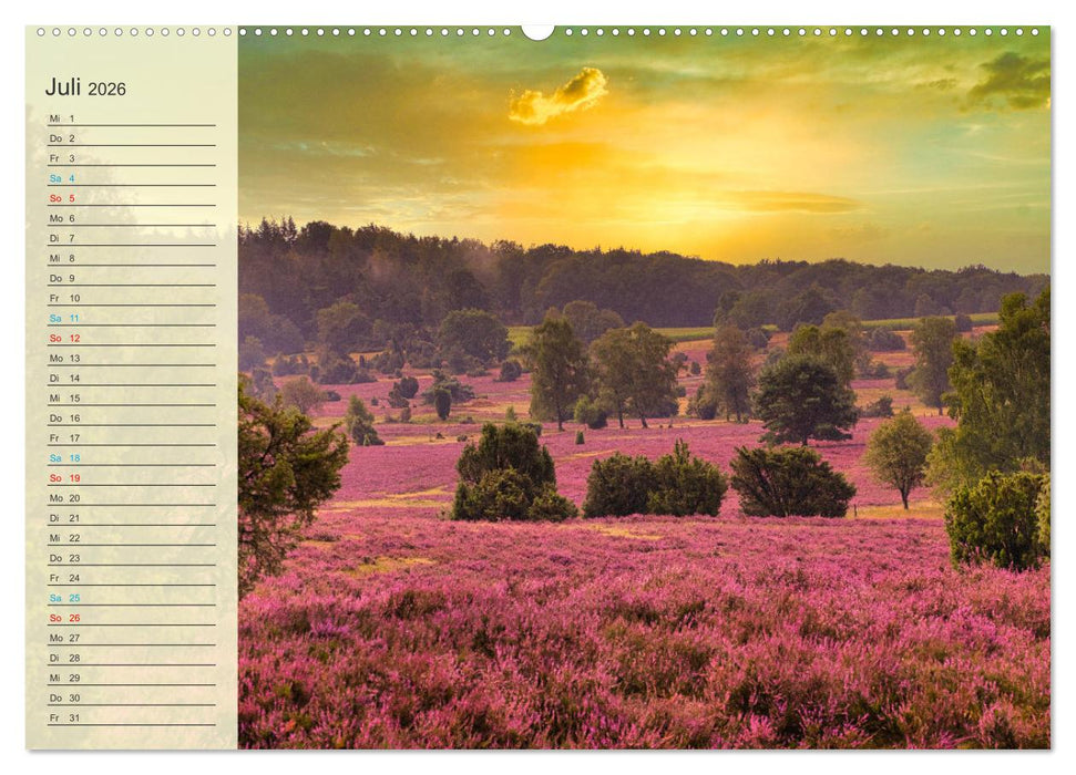 Die Heideblüte (CALVENDO Premium Wandkalender 2026)