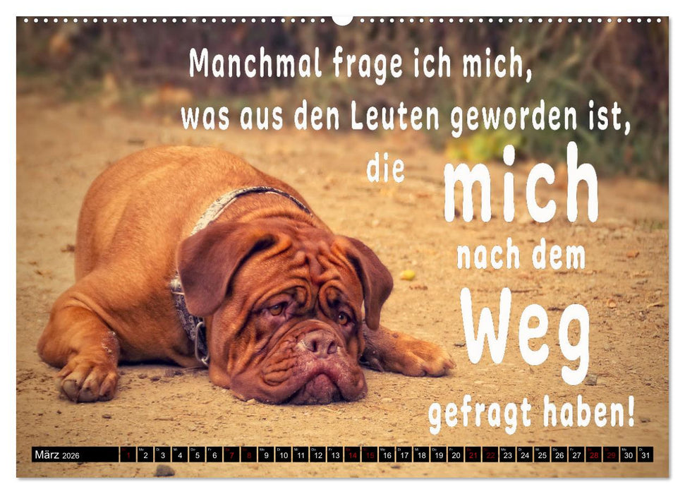 Spruchreif - Gute-Laune-Kalender (CALVENDO Wandkalender 2026)