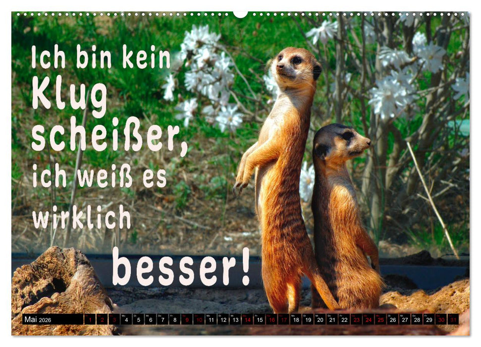 Spruchreif - Gute-Laune-Kalender (CALVENDO Wandkalender 2026)