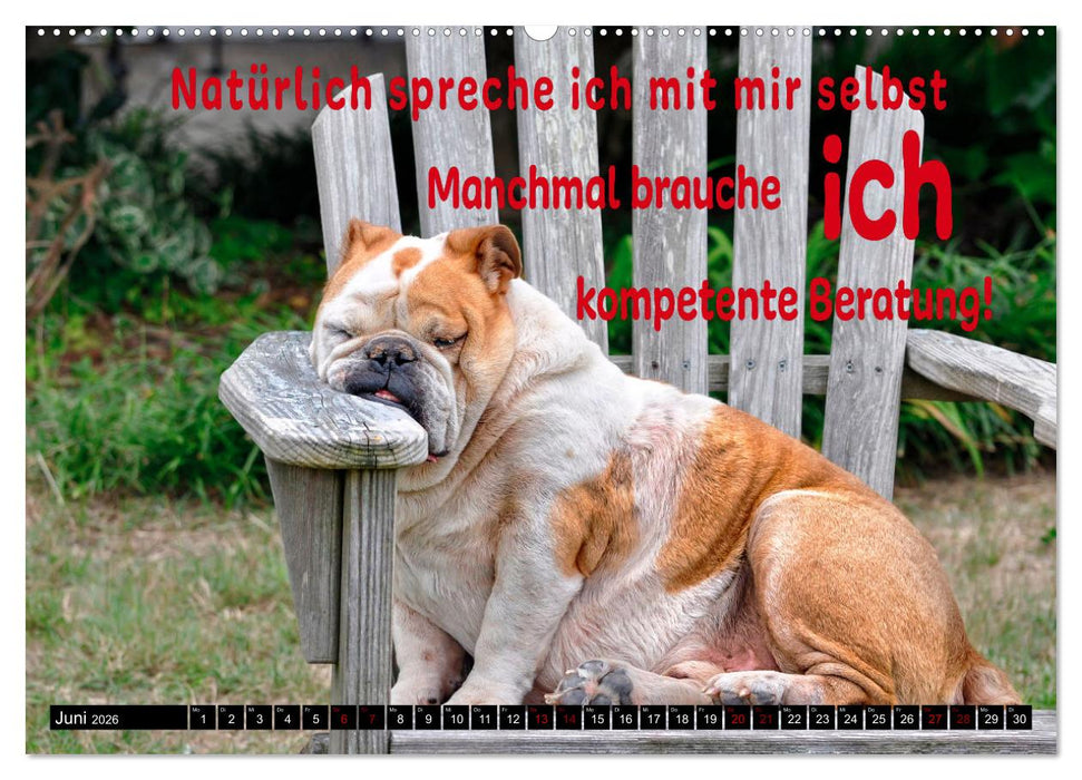 Spruchreif - Gute-Laune-Kalender (CALVENDO Wandkalender 2026)