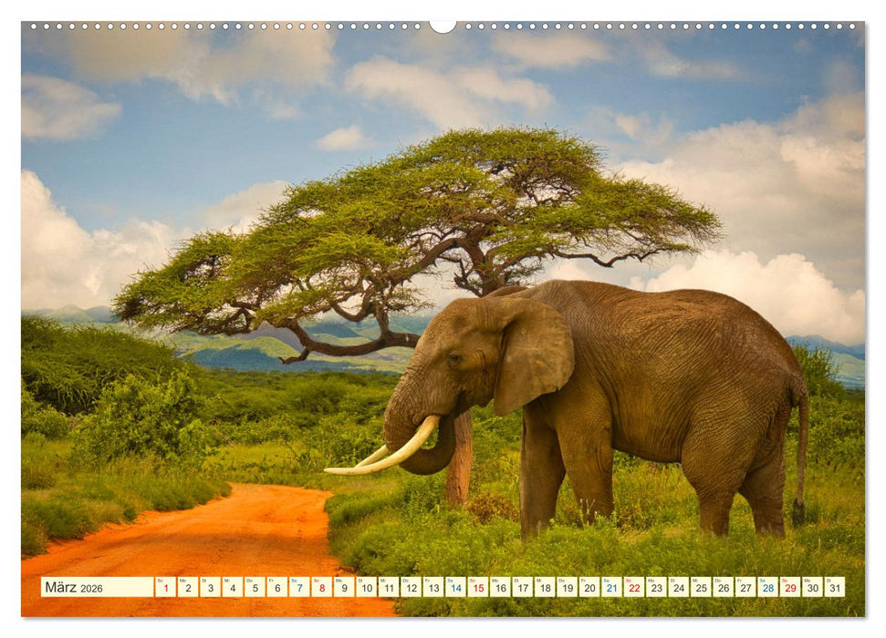 Die Riesen der Savanne (CALVENDO Premium Wandkalender 2026)
