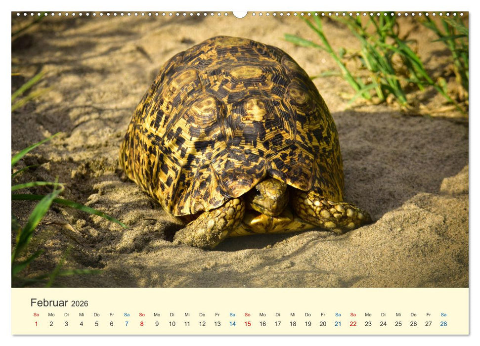 Die Großen und die Kleinen (CALVENDO Premium Wandkalender 2026)