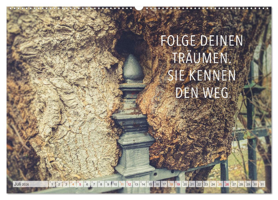 Träume - Motivationssprüche für Dich (CALVENDO Premium Wandkalender 2026)