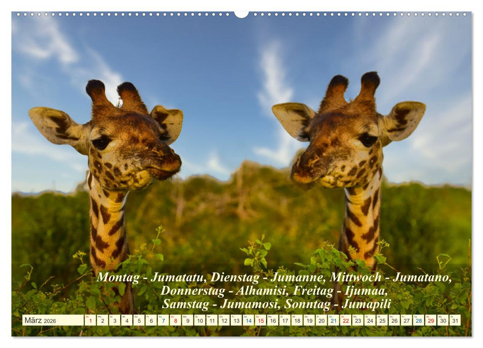 Jambo Kenya (CALVENDO Premium Wandkalender 2026)