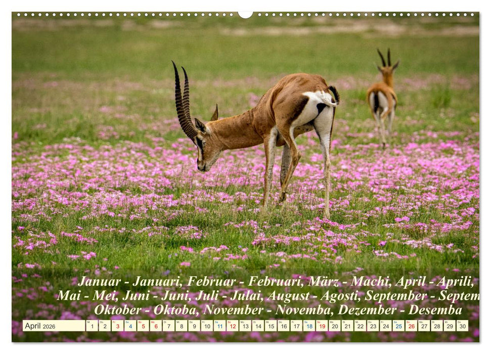 Jambo Kenya (CALVENDO Premium Wandkalender 2026)