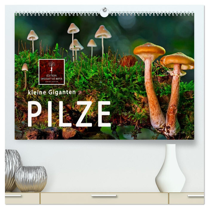Pilze - kleine Giganten (CALVENDO Premium Wandkalender 2026)