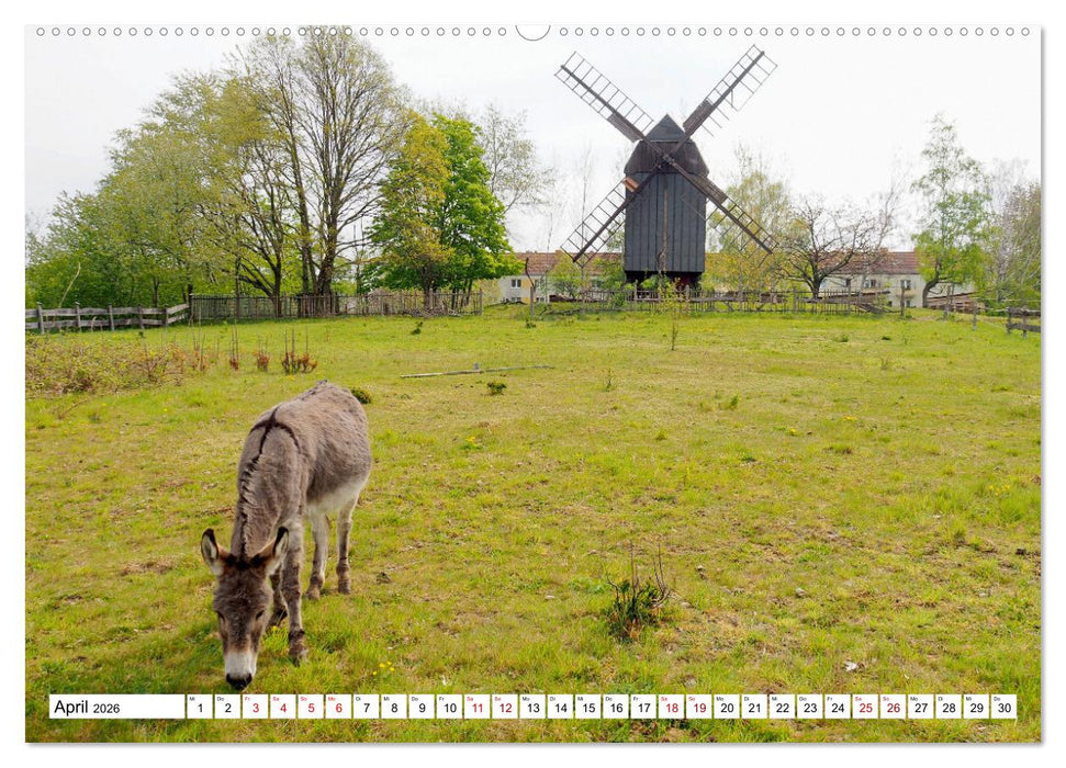 Wind- und Wassermühlen in Sachsen (CALVENDO Wandkalender 2026)