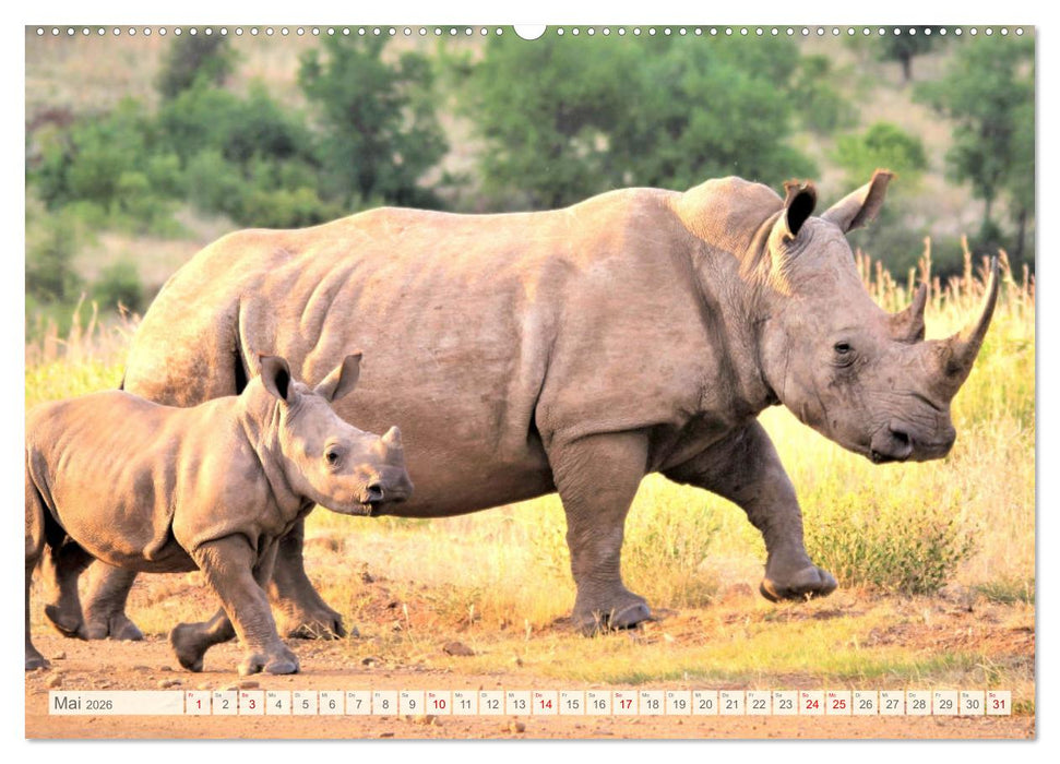 Afrikas Tiere. Majestäten in exotischer Wildnis (CALVENDO Wandkalender 2026)