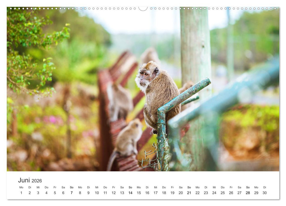 Traumhaftes Mauritius (CALVENDO Premium Wandkalender 2026)