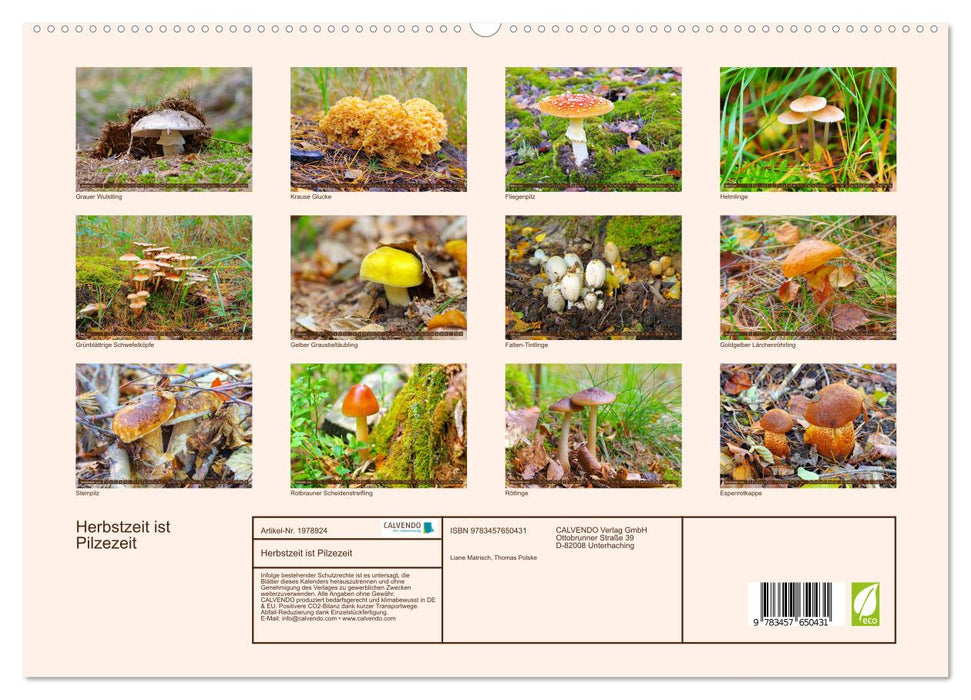 Herbstzeit ist Pilzezeit (CALVENDO Premium Wandkalender 2026)