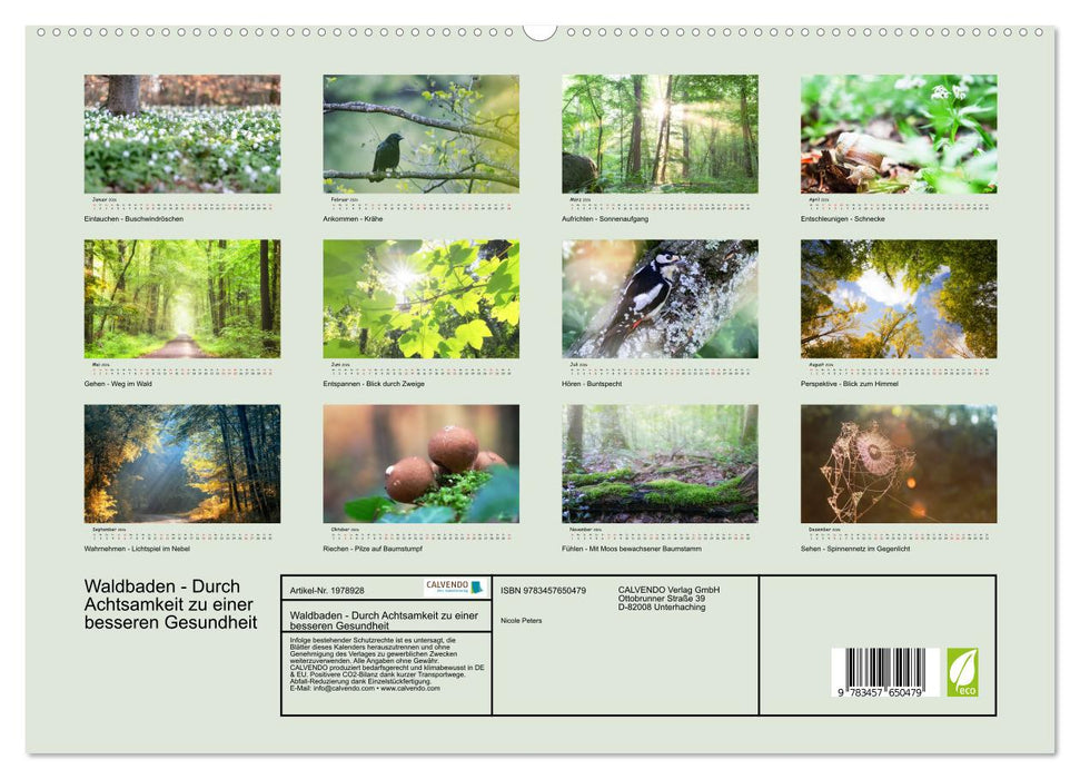 Waldbaden - Durch Achtsamkeit zu einer besseren Gesundheit (CALVENDO Premium Wandkalender 2026)