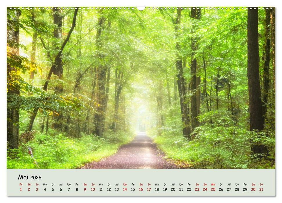 Waldbaden - Durch Achtsamkeit zu einer besseren Gesundheit (CALVENDO Premium Wandkalender 2026)