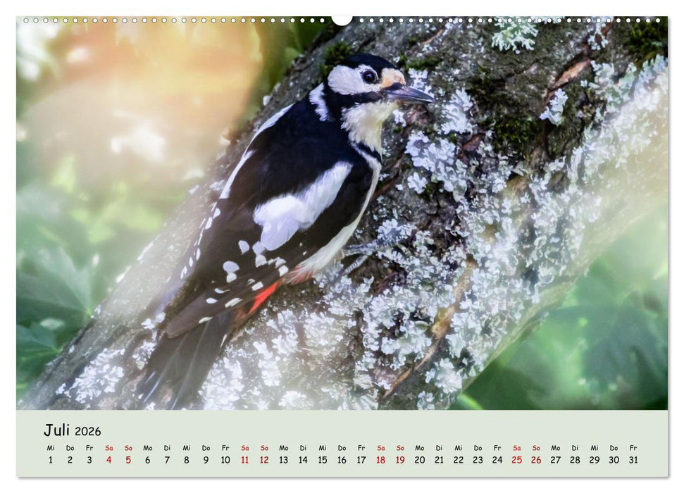 Waldbaden - Durch Achtsamkeit zu einer besseren Gesundheit (CALVENDO Premium Wandkalender 2026)