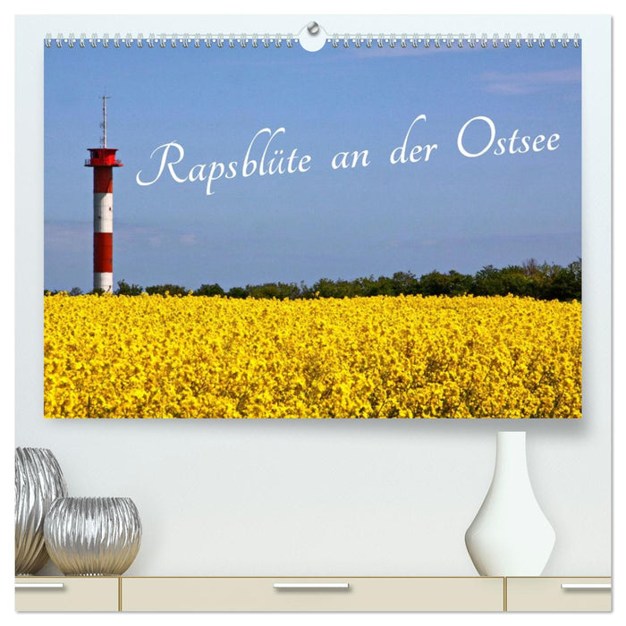 Rapsblüte an der Ostsee (CALVENDO Premium Wandkalender 2026)