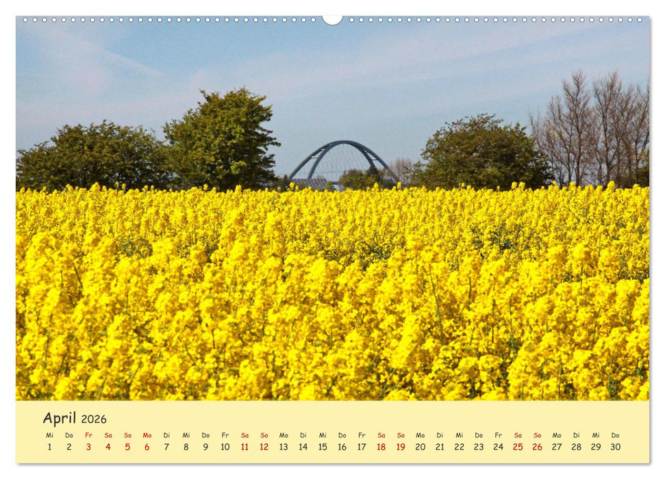 Rapsblüte an der Ostsee (CALVENDO Premium Wandkalender 2026)