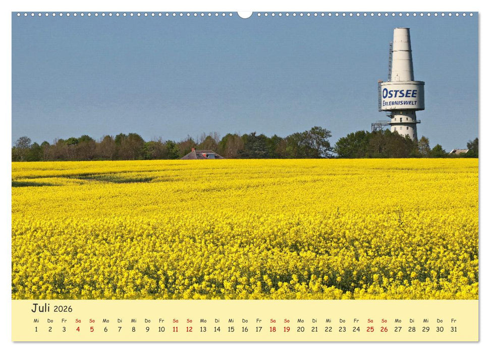 Rapsblüte an der Ostsee (CALVENDO Premium Wandkalender 2026)